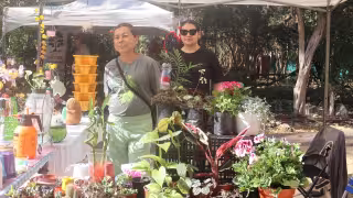 Colectivo Mérida Verde impulsa conciencia ambiental en Animaya