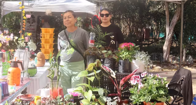 Plantas y educación ambiental protagonizan bazar ecológico en Mérida