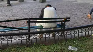 En menos de diez meses, Yucatán ha rebasado las cifras de 2024 en diagnósticos de depresión