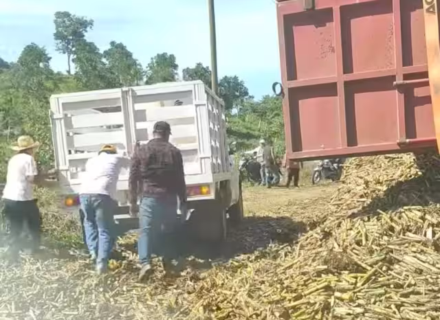 Un camión cañero volcó en la carretera estatal Hool a Santo Domingo Kesté, municipio de Champotón