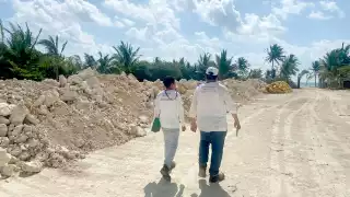 nspectores de la Secretaría de Medio Ambiente Sustentable y Cambio Climático acudieron para revisar el mangle y descartaron anomalías.