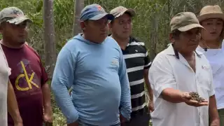 El fipronil interfiere con el sistema nervioso central de los insectos, provocando desorientación, parálisis y muerte