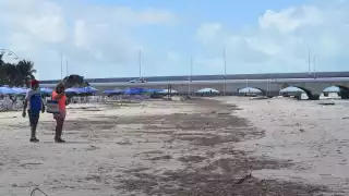 ¿Sargazo en el Caribe afectará a Yucatán en Verano 2025? Todo lo que se sabe   