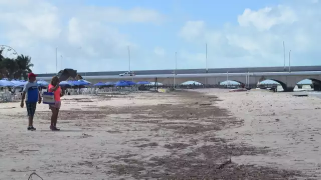 El Verano 2025 se encuentra en peligro por la llegada de sargazo