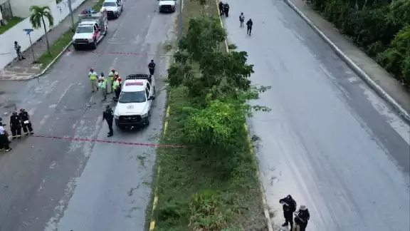 La falta de mantenimiento a la infraestructura causó que el año pasado un hombre muriera electrocutado mientras podaba el camellón La falta de mantenimiento a la infraestructura causó que el año pasado un hombre muriera electrocutado mientras podaba el camellón