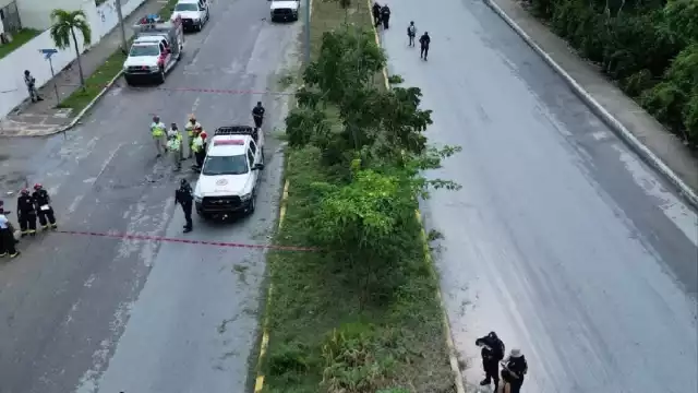 La falta de mantenimiento a la infraestructura causó que el año pasado un hombre muriera electrocutado mientras podaba el camellón