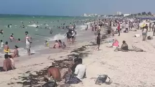La playa más hermosa y tranquila de Yucatán para visitar en Semana Santa 