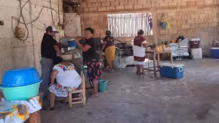 “No es nuestra culpa, suben los costos”, tortilla subirá a 26 pesos por alza en insumos en Hecelchakán