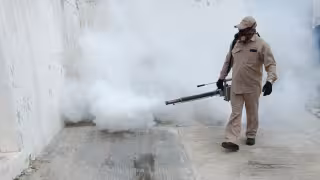 Alertan por dengue grave en Campeche: Carmen lidera lista de casos con el 75% de contagios