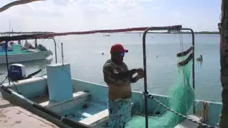 Sobreexplotación de especies y la contaminación causan crisis en la pesca en Yucatán   