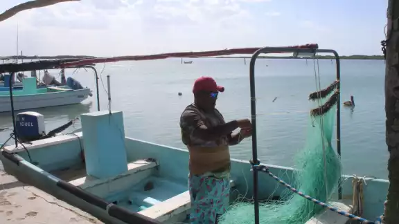 La captura excesiva de mero, pulpo y langosta ha provocado una disminución alarmante de los ejemplares La captura excesiva de mero, pulpo y langosta ha provocado una disminución alarmante de los ejemplares