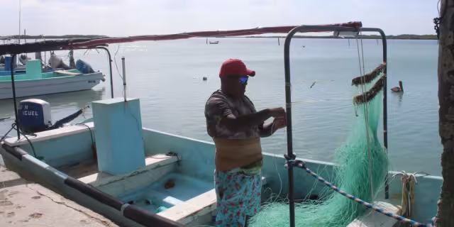 La captura excesiva de mero, pulpo y langosta ha provocado una disminución alarmante de los ejemplares