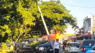 La camioneta se proyectó contra un área verde y chocó contra un poste de alumbrado