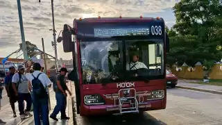 Ko’ox: así impactará en la economía de las familias campechanas