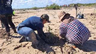 Comisión de Postulación del Congreso de Yucatán aprueba reconocimiento a “Las Chelemeras”