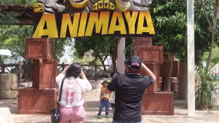 Vacaciones entre capibaras y jirafas: Zoológico Animaya avanza en su programa especial de Semana Santa