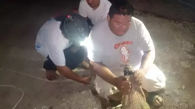 Personal especializado se encargó de someterlo para retirarlo de ahí.