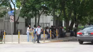 Comunicación, Odontología,  Nutrición y Derecho, entre las licenciaturas que eligen los “rechazados”  por la UADY 