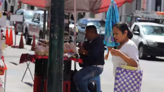 Mantienen vigilancia ante enfermedades