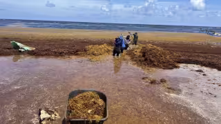 Prestadores de servicios dijeron que actuar previamente ayuda a reducir la afectación de la imagen del destino y evita pérdidas económicas