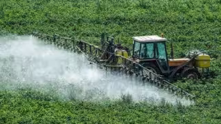 Congreso de Campeche exige blindar alimentos contra plaguicidas