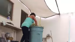  Crece afiliación al IMSS de trabajadoras del hogar en Yucatán; suman mil 018 inscritas en un mes