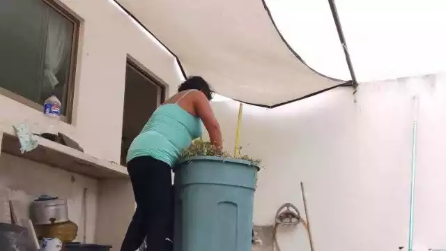 En Yucatán persiste la brecha salarial de género, pues los hombres ganan más que las mujeres