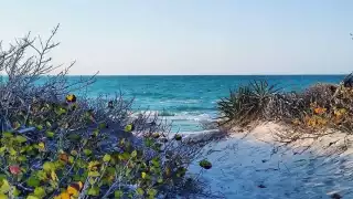 Cancunito, la playa con aguas turquesa y poca gente para visitar en Verano en Yucatán