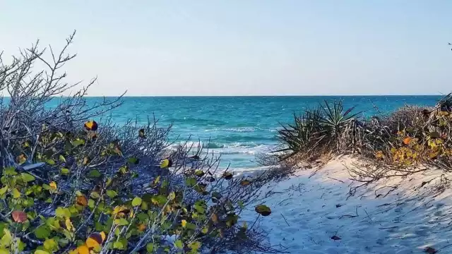Cancunito es una de las playas menos populares de Yucatán