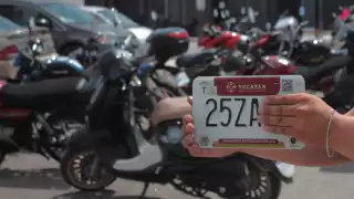 Yucatecos acuden a los módulos para llevar a cabo el trámite del canje de matrículas