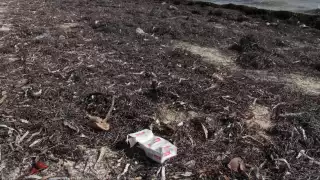 Organizaciones ambientalistas abogan por el fomento de una cultura de responsabilidad y conciencia ecológica entre los turistas