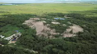 Manglares resultan  dañados por emisiones  no autorizadas, según un  informe de consultoría  especializada