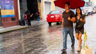 Guardia Nacional y Semar apoyan cateos en Yucatán