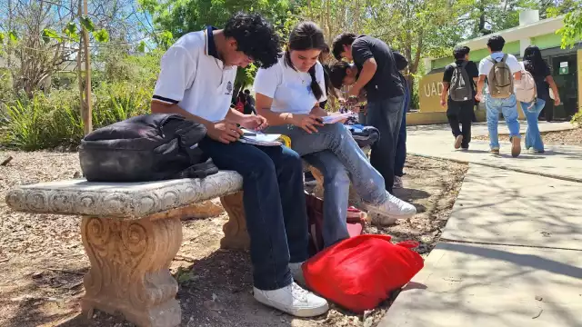 El taller, que se realizará este viernes será una capacitación exprés de dos horas, abierta no solo a estudiantes de psicología, sino al público en general