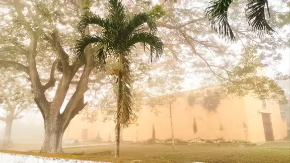 En Yucatán, la presencia de neblina se asocia a la costa o a áreas con vegetación y cuerpos de agua
