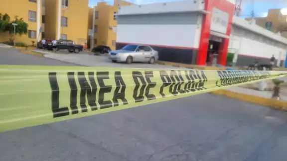 Residentes de Paraíso Maya pidieron a las autoridades de Seguridad que se refuerce la vigilancia de día y noche; temen ser víctimas colaterales de un delito Residentes de Paraíso Maya pidieron a las autoridades de Seguridad que se refuerce la vigilancia de día y noche; temen ser víctimas colaterales de un delito