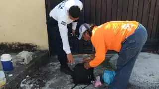 Policías detuvieron a trabajadores del Ayuntamiento