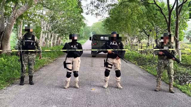 Elementos estatales y federales realizaron el aseguramiento en tres predios del municipio de Panabá