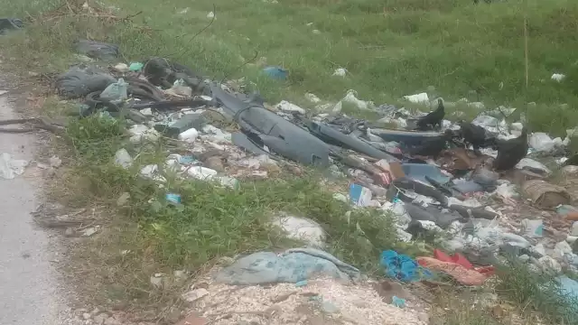 Aunque las autoridades recogen los desechos tirados en la vialidad, al poco tiempo queda convertida otra vez en un muladar