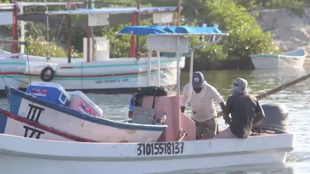 La captura de molusco está escaseando debido a la bonanza y las frecuentes lluvias en la Península