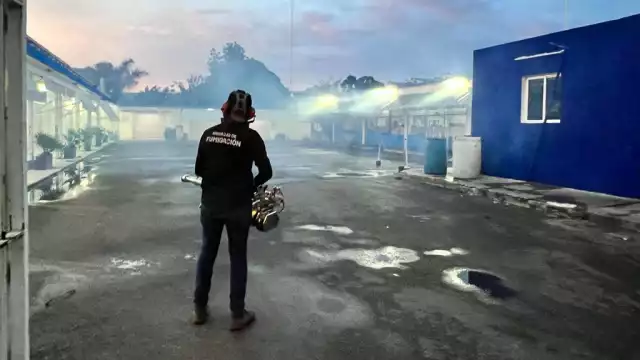 Hasta ahora, el mes de julio es el único que no ha tenido diagnósticos de dengue