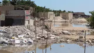 Manglares de Progreso, en riesgo  por su invasión para constuir casas