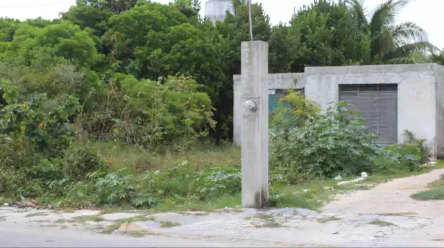 Terrenos abandonados, una amenaza a la seguridad y salud de Progreso