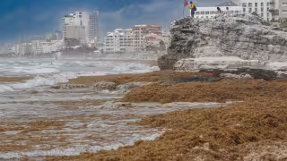 Esteban Amaro, del Centro de Monitoreo, advierte que el calentamiento marino expande las zonas hipóxicas