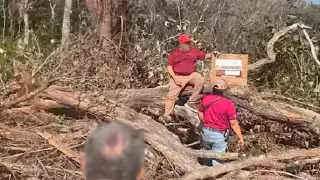 La Profepa mantiene operativos permanentes para combatir el desmonte y la tala ilegal