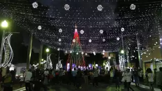   Preparan encendido del árbol y luces navideñas en Paseo de Montejo en Mérida   