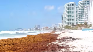Atienden la contingencia con dos buques interoceánicos, dos anfibias y 12 navíos menores