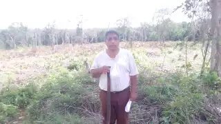 Campesino de Hopelchén denuncia baja injustificada del Programa Sembrando Vida 