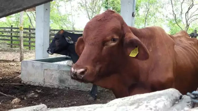 Los nuevos casos se registraron en 14 municipios de la entidad