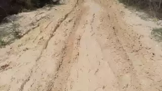 La temporada de aguaceros trae tranquilidad al sector pecuario, pero también causa el problema de dejarlos incomunicados.